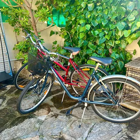 Unique Front De Climatise Et Jardin Apartment Le Lavandou