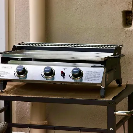 Front De - Climatise Classe 2 Etoiles Avec Jardin *